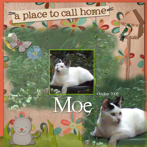 Maya de Groot Designs Home Sweet Home Moe