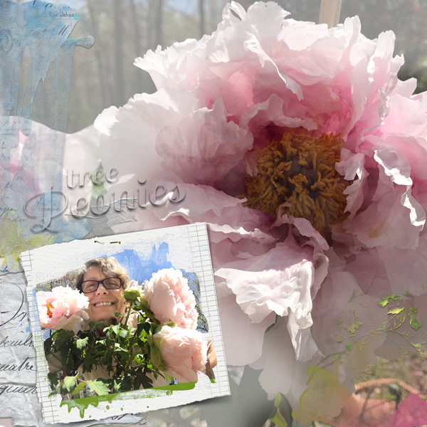 Me and my tree peonies