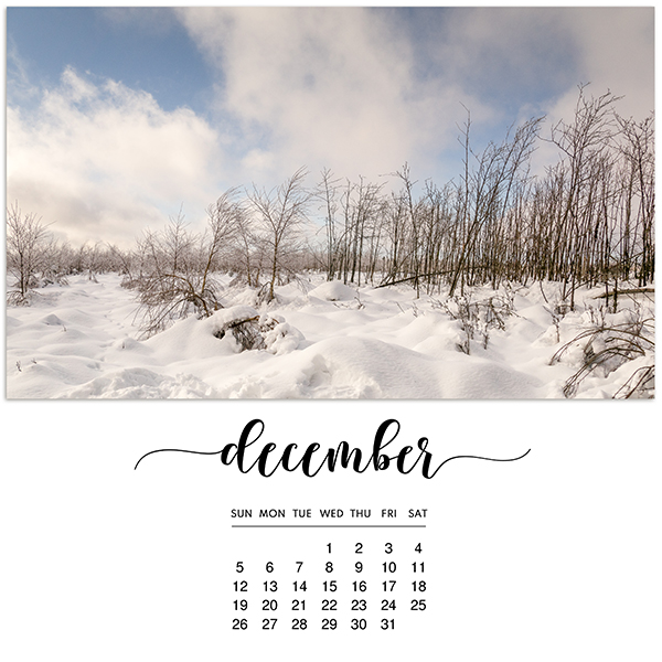 Mediterranka-Design-PhotoTemplates-12-12x12-1-calendar.jpg