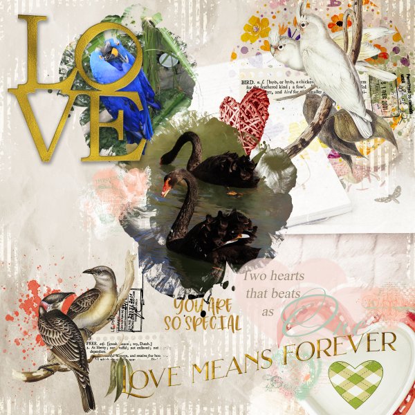 Mediterranka February Challenge