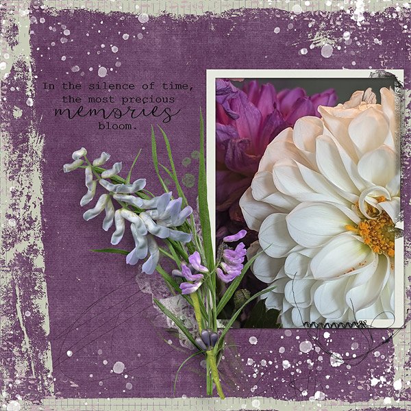 Memories Bloom