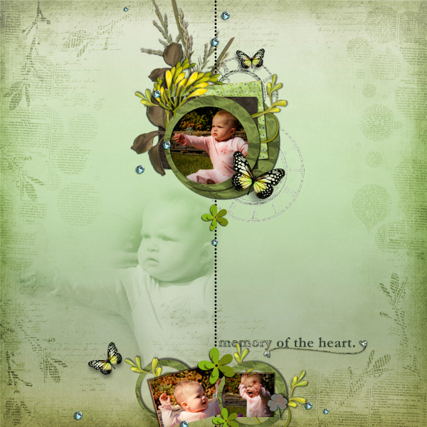 Memory of the Heart