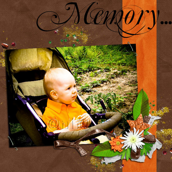 memory