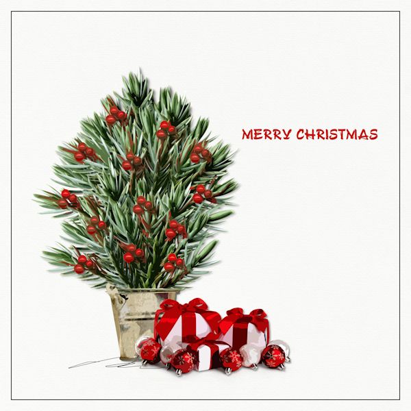 Merry Christmas...