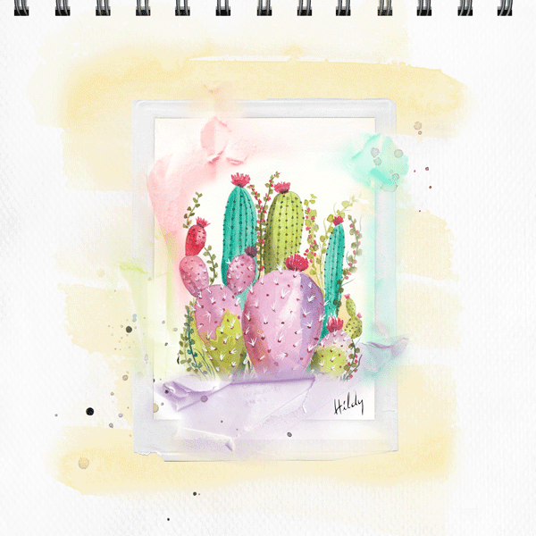 Mes Cactus