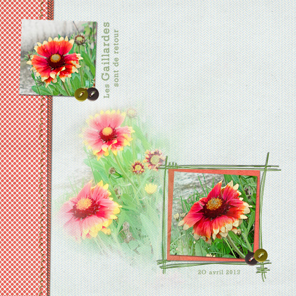 Mes Gaillardes