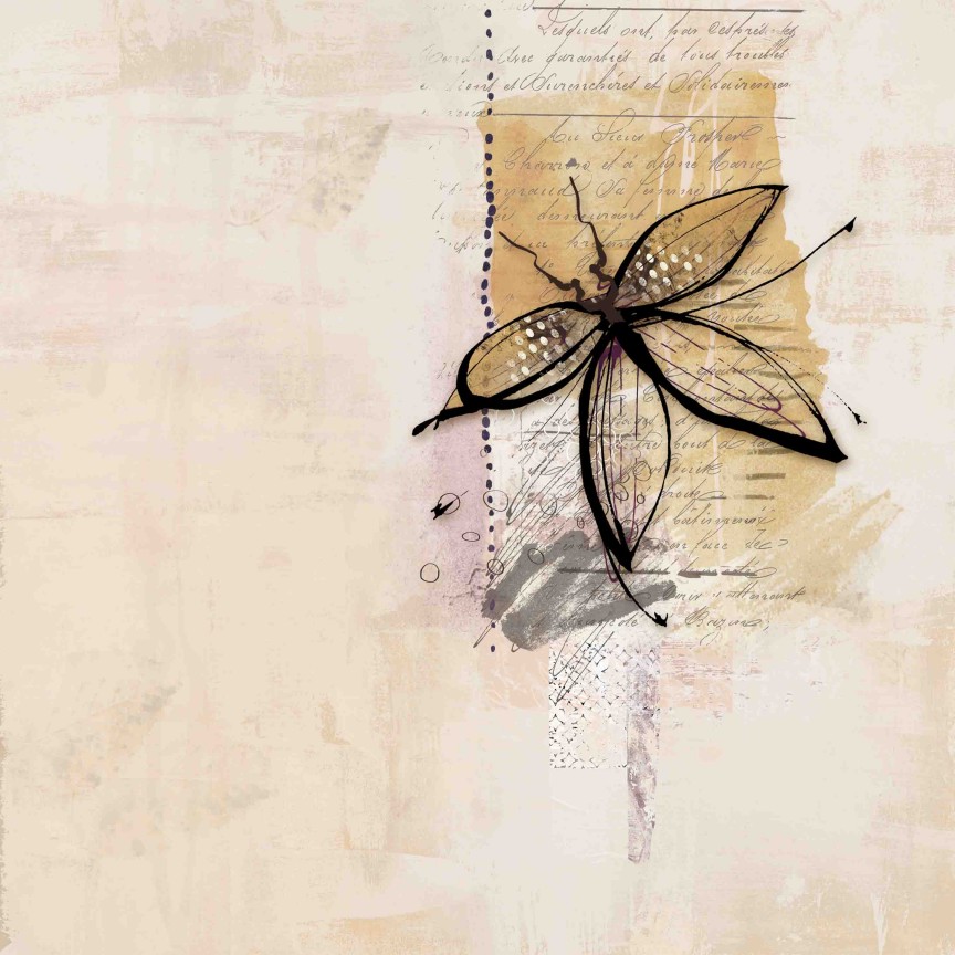 metamorphose