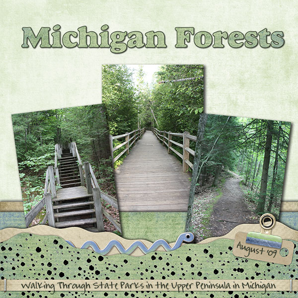 Michigan Forests