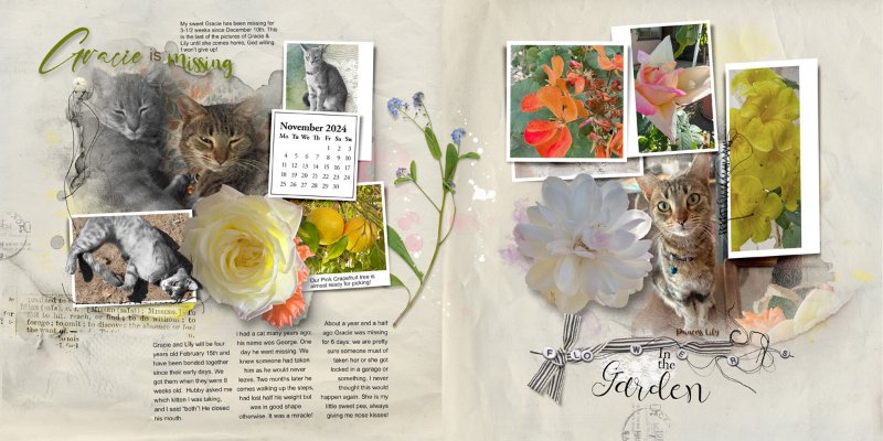 MIR24-PAGE-24&25-NOVEMBER_GRACIE-MISSING-&-FLOWERS