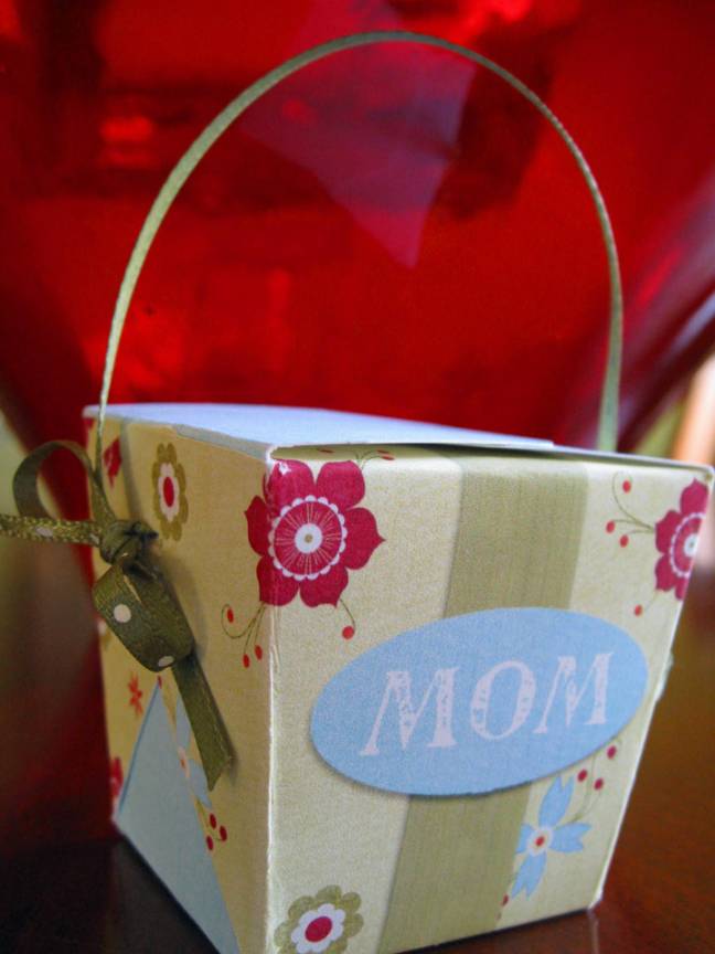 Mom-take-out-box