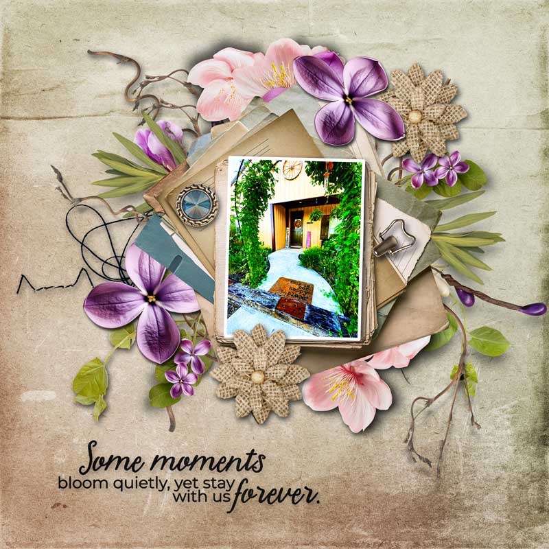 Moments in Bloom