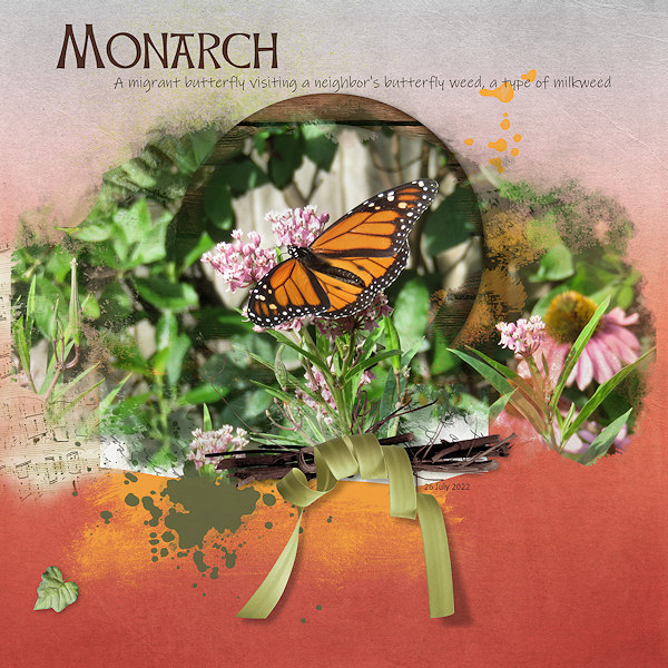 Monarch