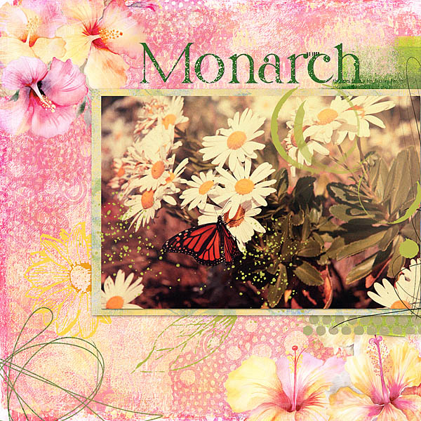 Monarch