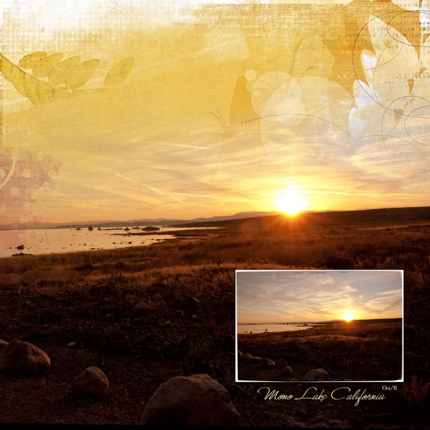 Mono Lake-camera corner