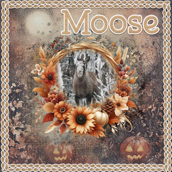 Moose.jpg