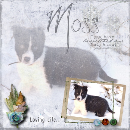Moss
