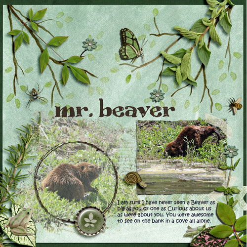 mr. beaver