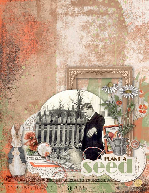 Mr-McGregors-Garden