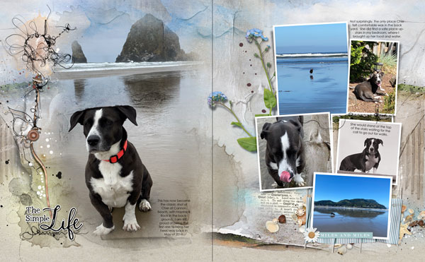 MultiFoto Template Album 1 Cher at the Coast