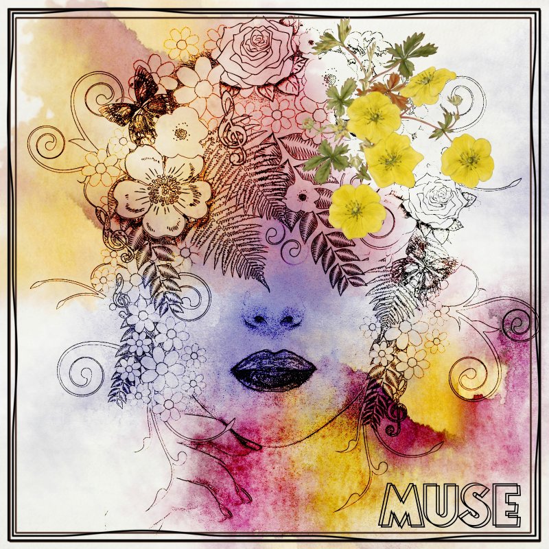 Muse