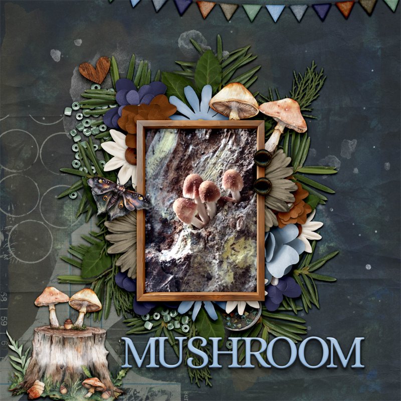 mushroom