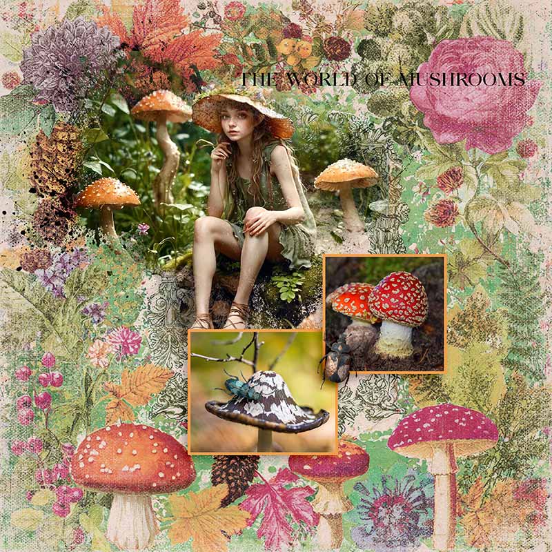 Mushrooms are Beautiful