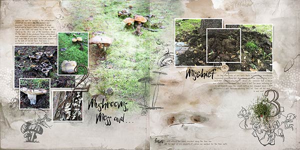 Mushrooms, Moss and . . .aAProject Album 2016