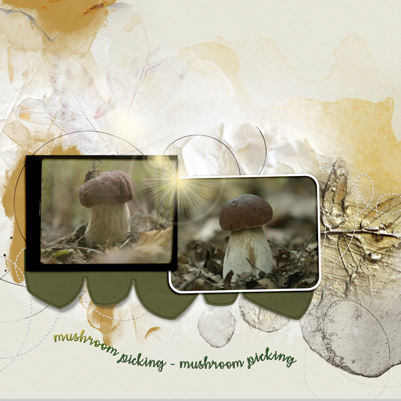 Mushrooms