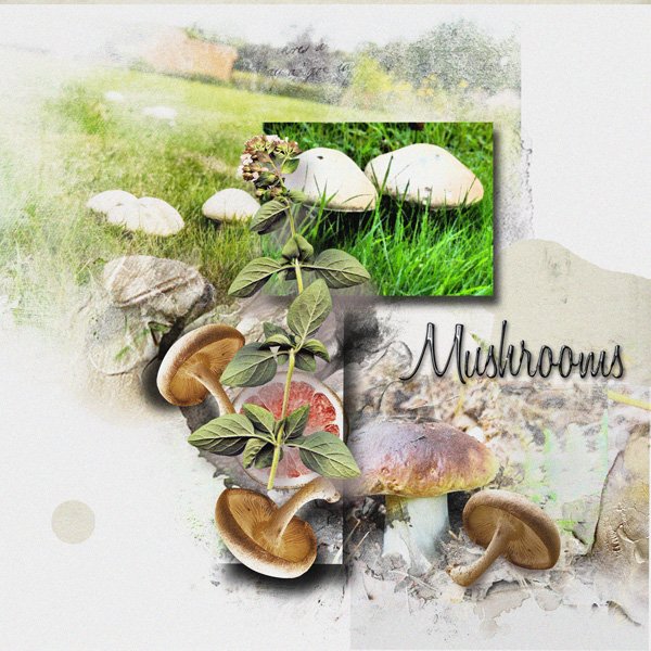 Mushrooms