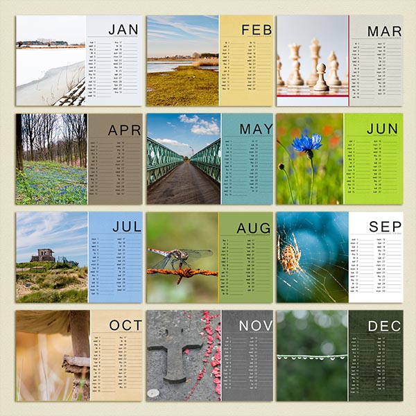 my calender 2013