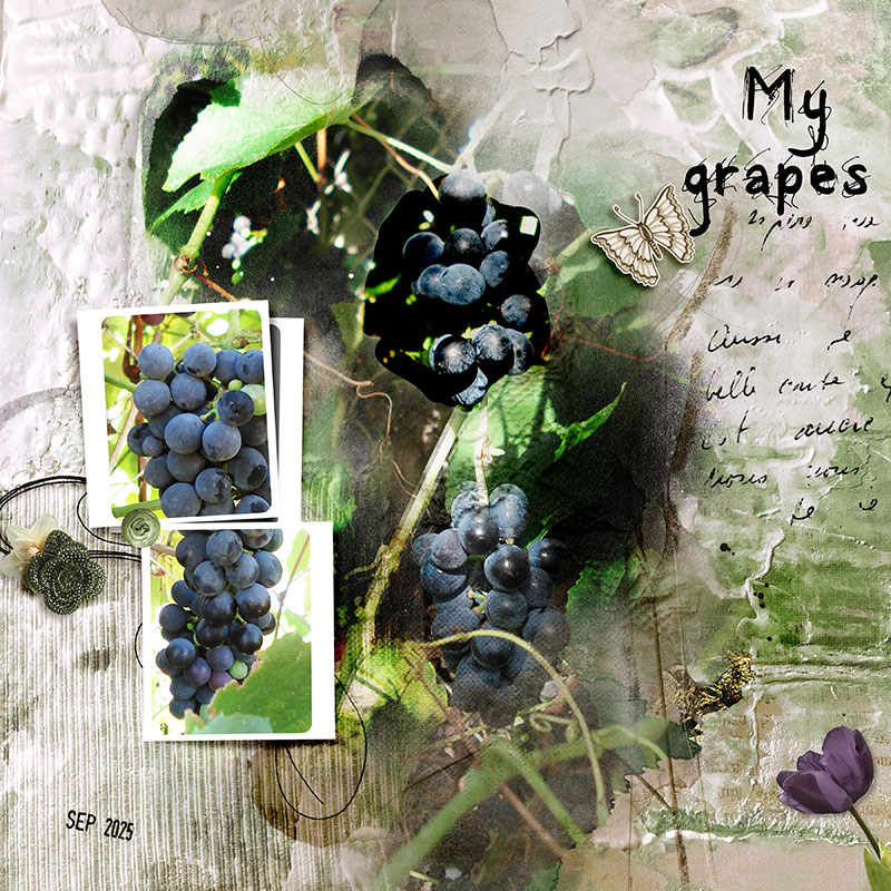 My Grapes