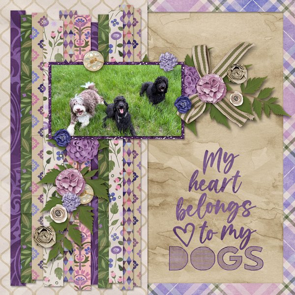 My Heart Belongs to My Dogs