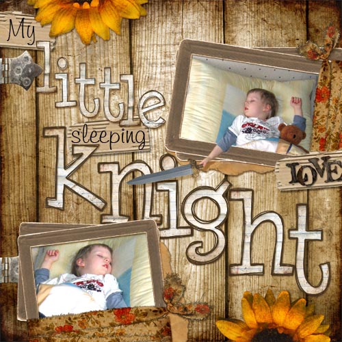 My little knight