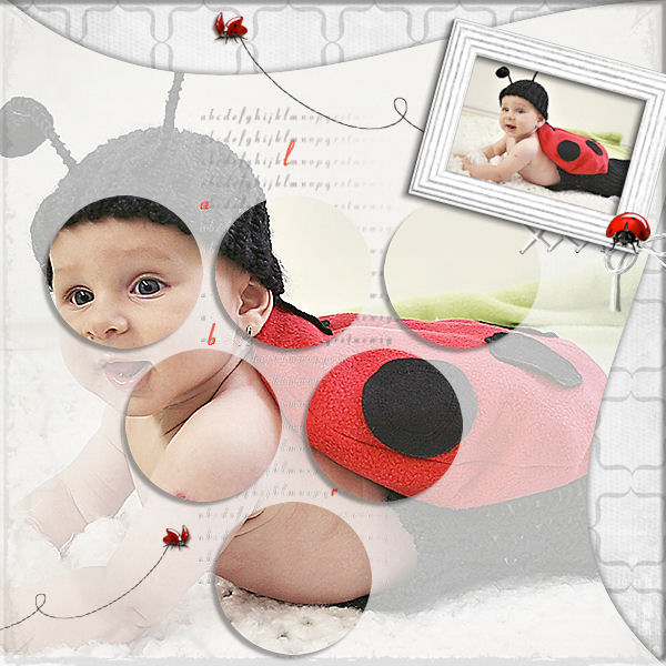 My Little Ladybird