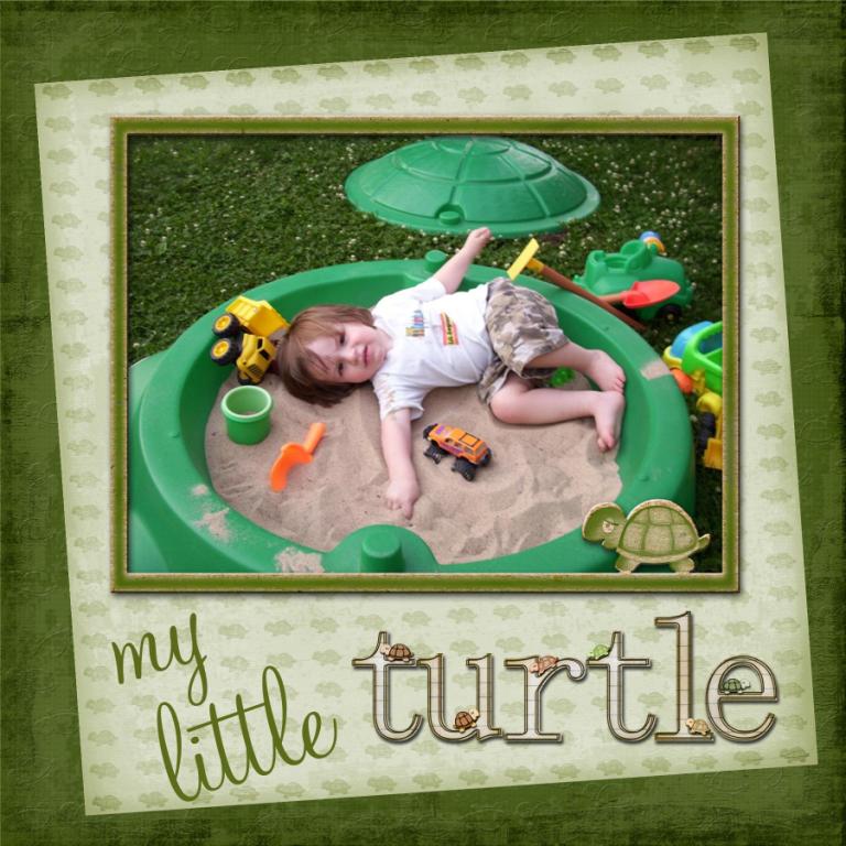 My Little Turtle