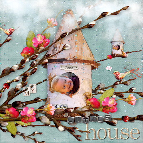 my new little house