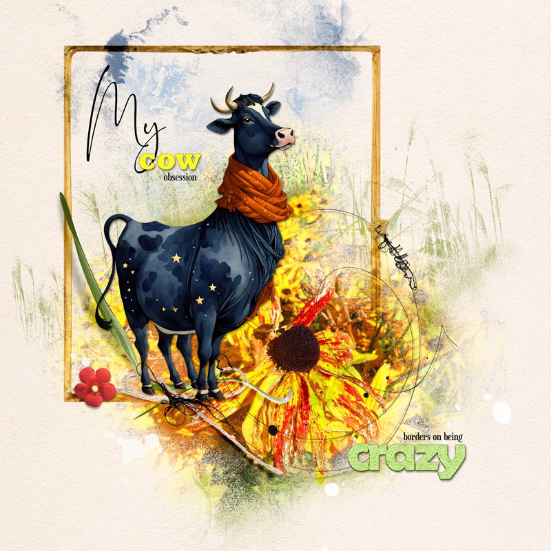 My Obsession with Cows
