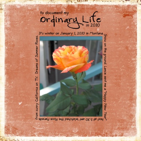 My Ordinary Life 2010