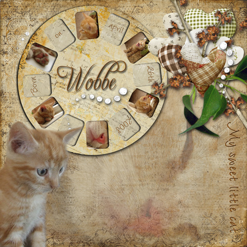 My sweet little cat