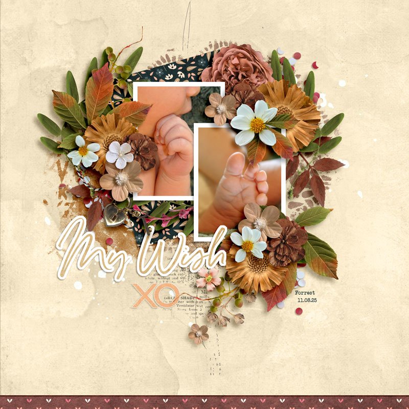 my-wish-xo.jpg