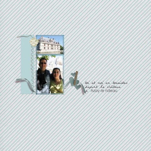 Mystery scrap chat - Azay le rideau