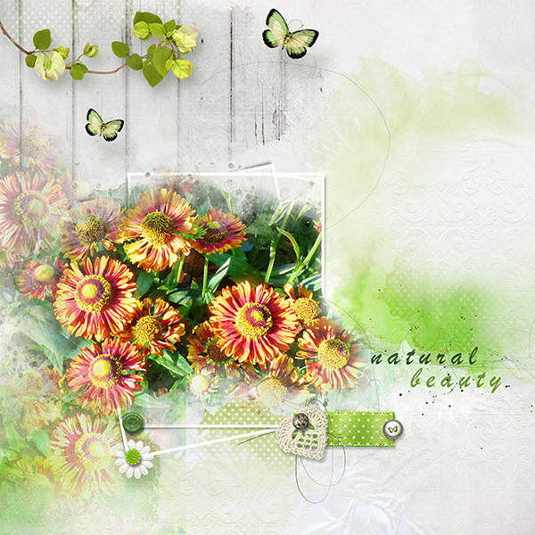 natural-beauty.jpg