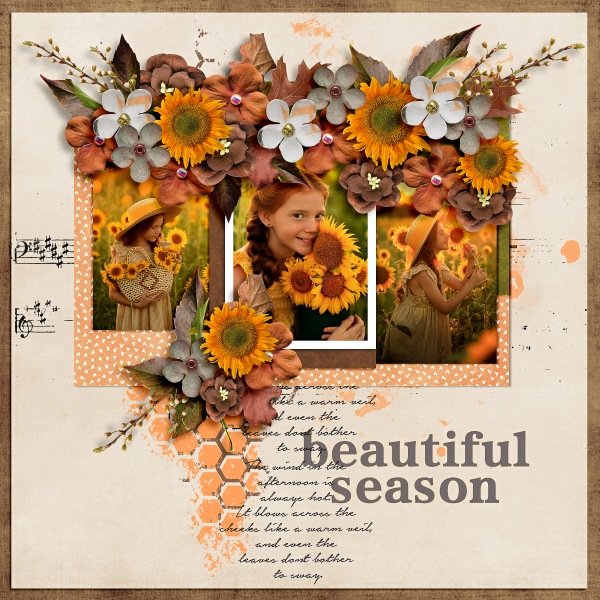 Nature In Autumn-Collection