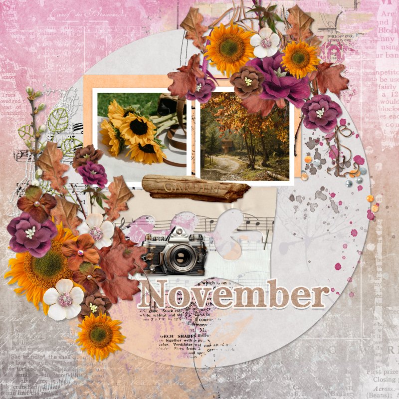 Nature in autumn.jpg