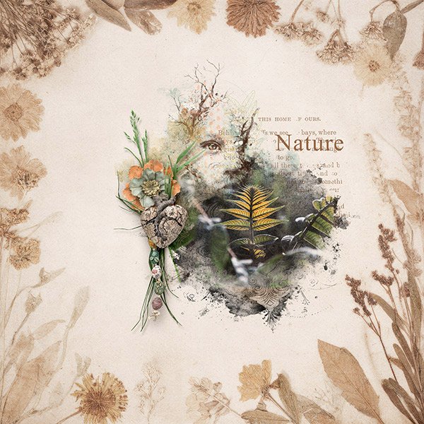 Nature is Beautiful