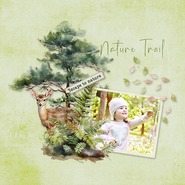 Nature trail