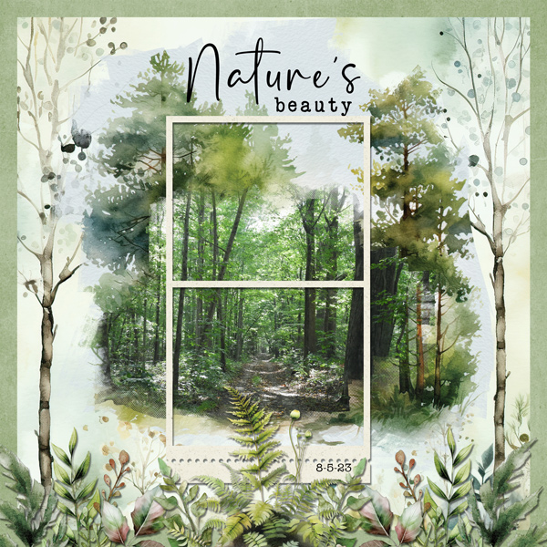 Nature's Beauty