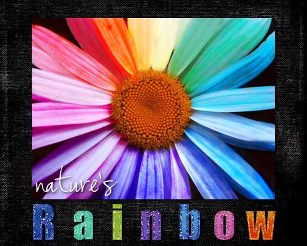 Nature's Rainbow