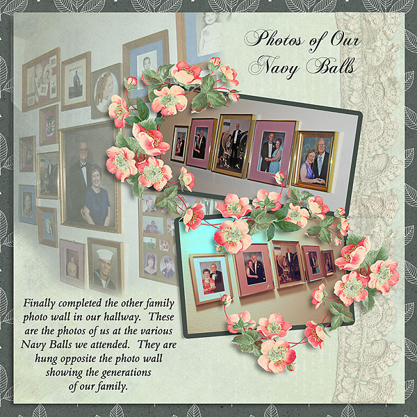 Navy Ball Photo Wall