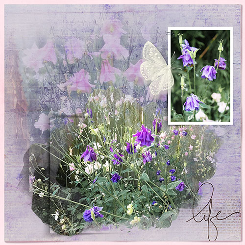 NBK 5-29-17 Texture Blending Challenge_Columbines